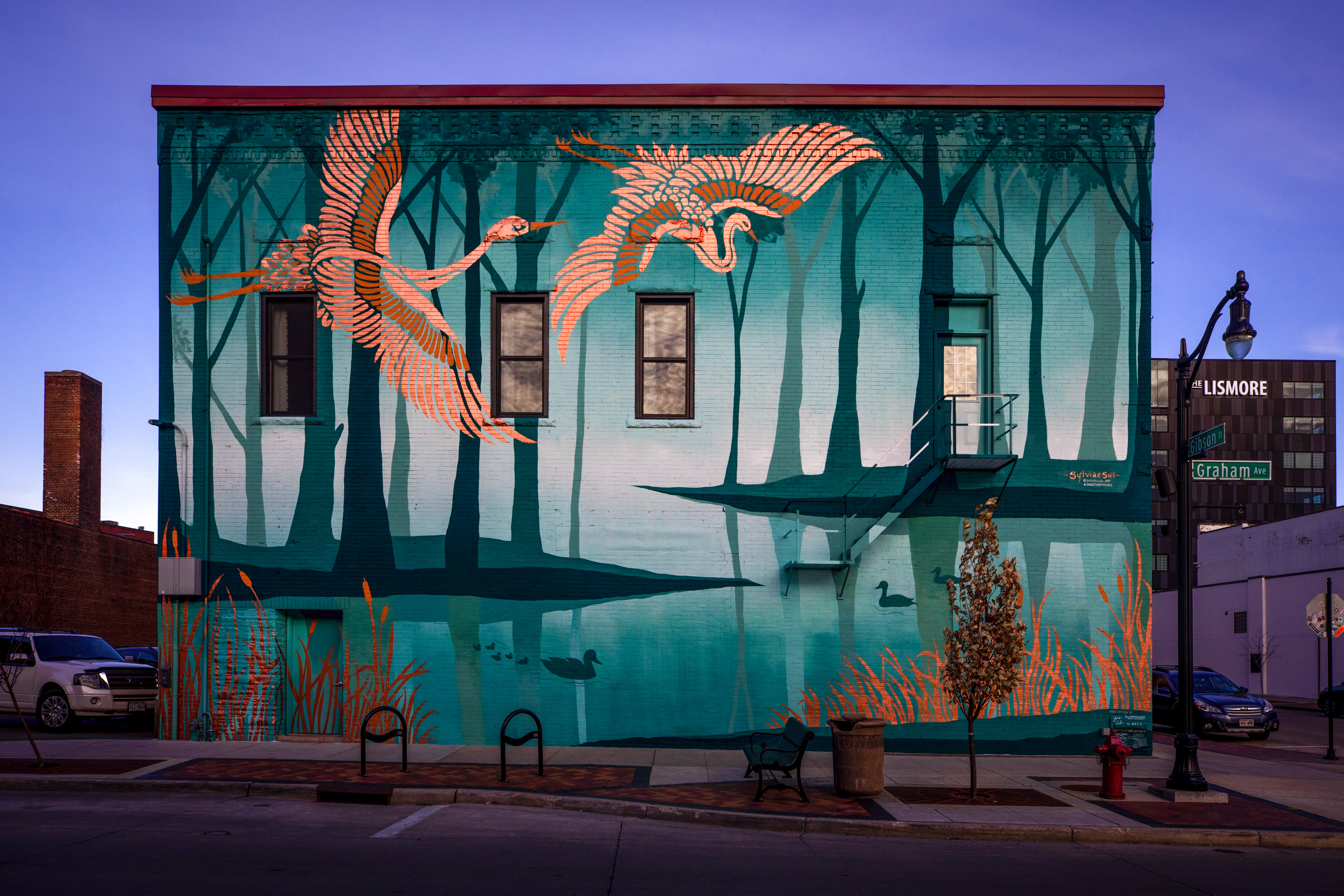 Building-scale mural of two sandhill cranes flying over a teal forest, painted around the windows of a downtown building.